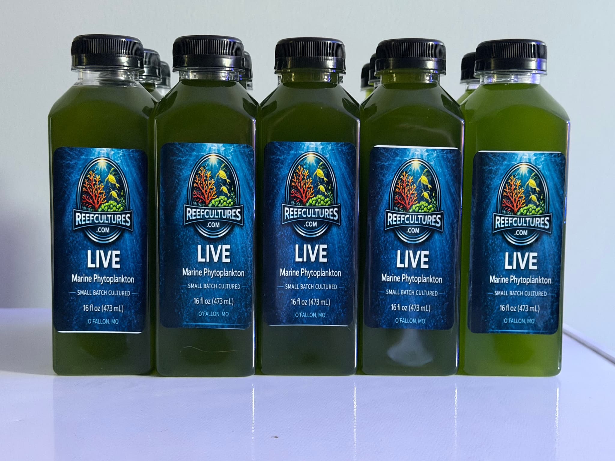 Live Phytoplankton 64oz