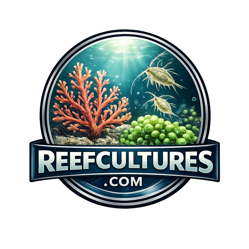 reefcultures.com